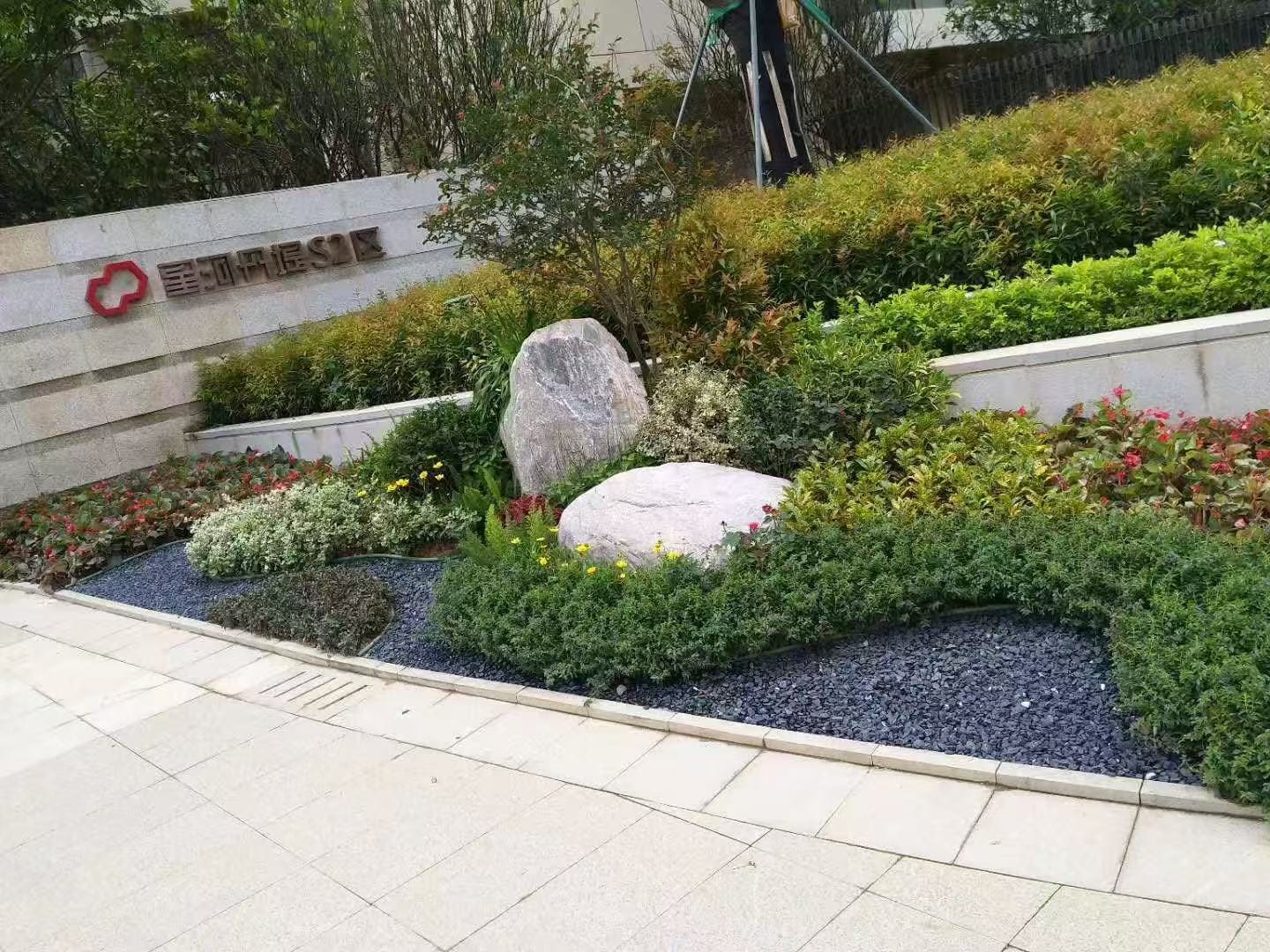 庭院綠化作品